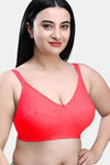 Maroon Clothing Double Layered Non Wired Full Coverage Super Support Bra (Pack of 2) - Multicolor — thumbnail 7